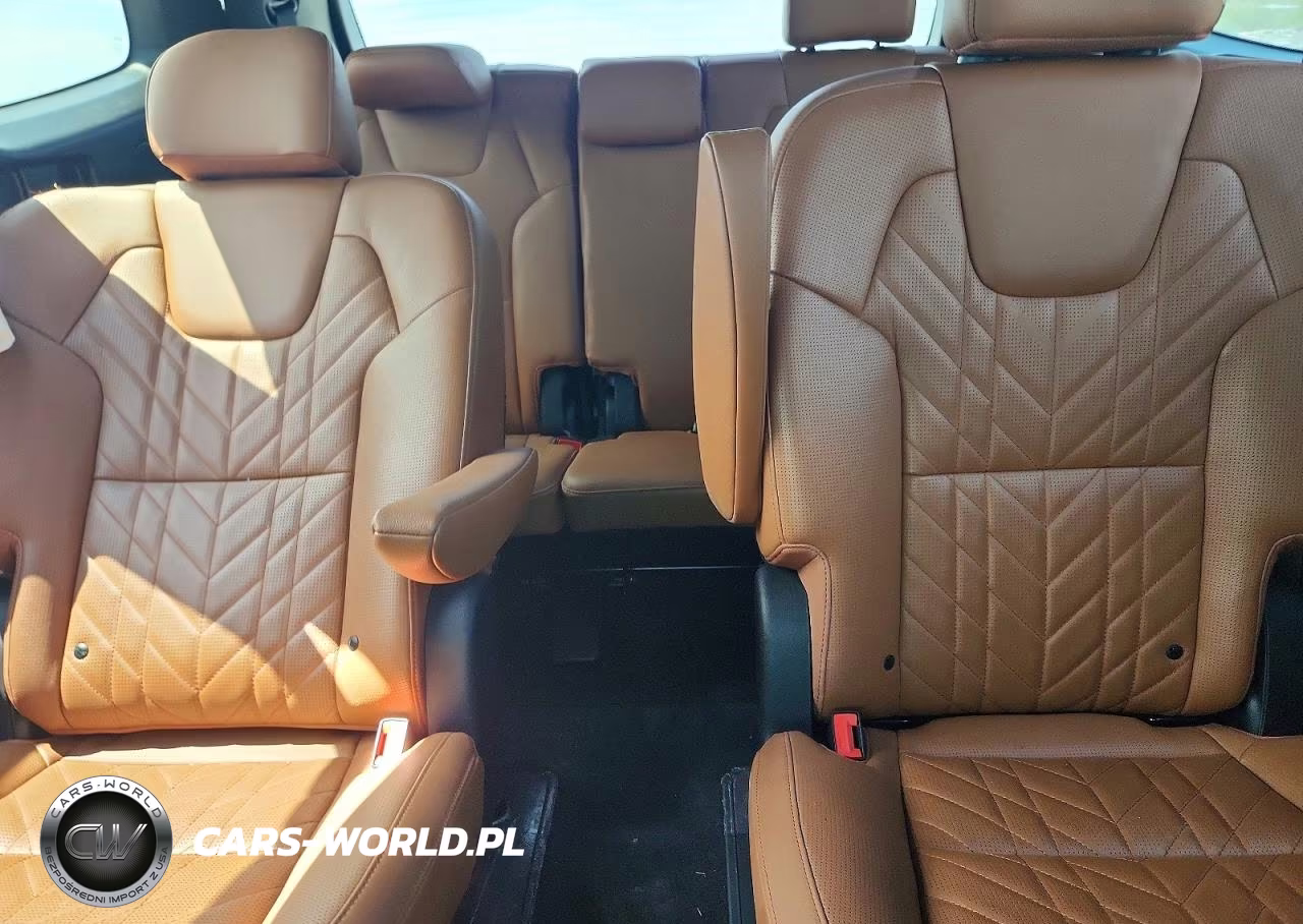 2024 Kia Telluride Sx X-Line VIN:5XYP5DGC8RG550934 - 10