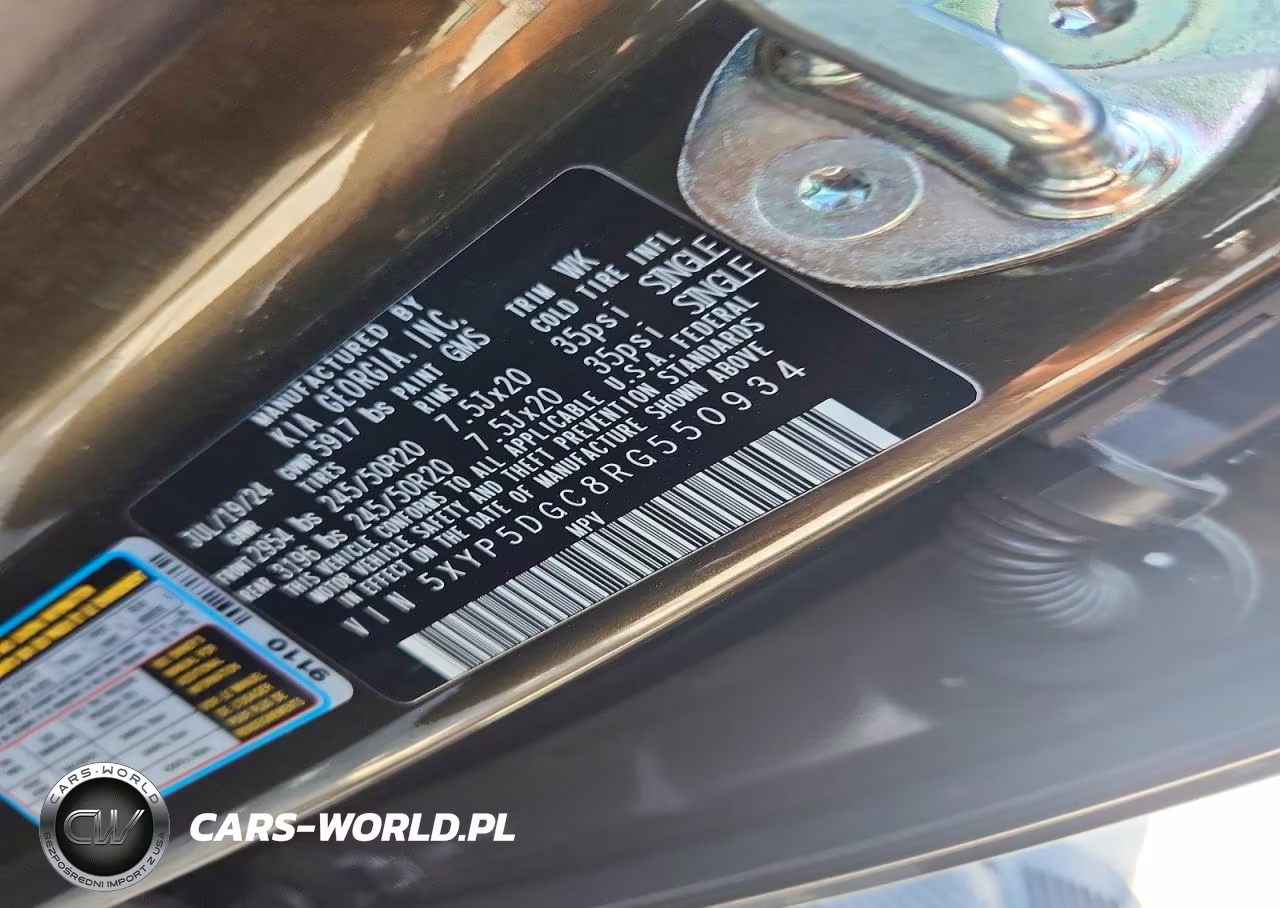 2024 Kia Telluride Sx X-Line VIN:5XYP5DGC8RG550934 - 13