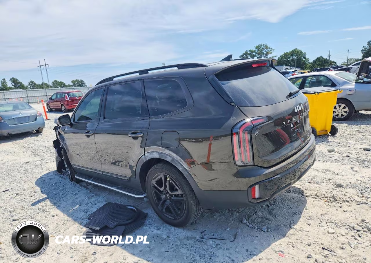 2024 Kia Telluride Sx X-Line VIN:5XYP5DGC8RG550934 - 2