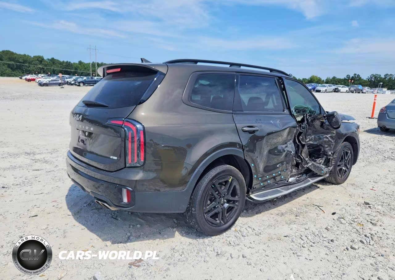 2024 Kia Telluride Sx X-Line VIN:5XYP5DGC8RG550934 - 3
