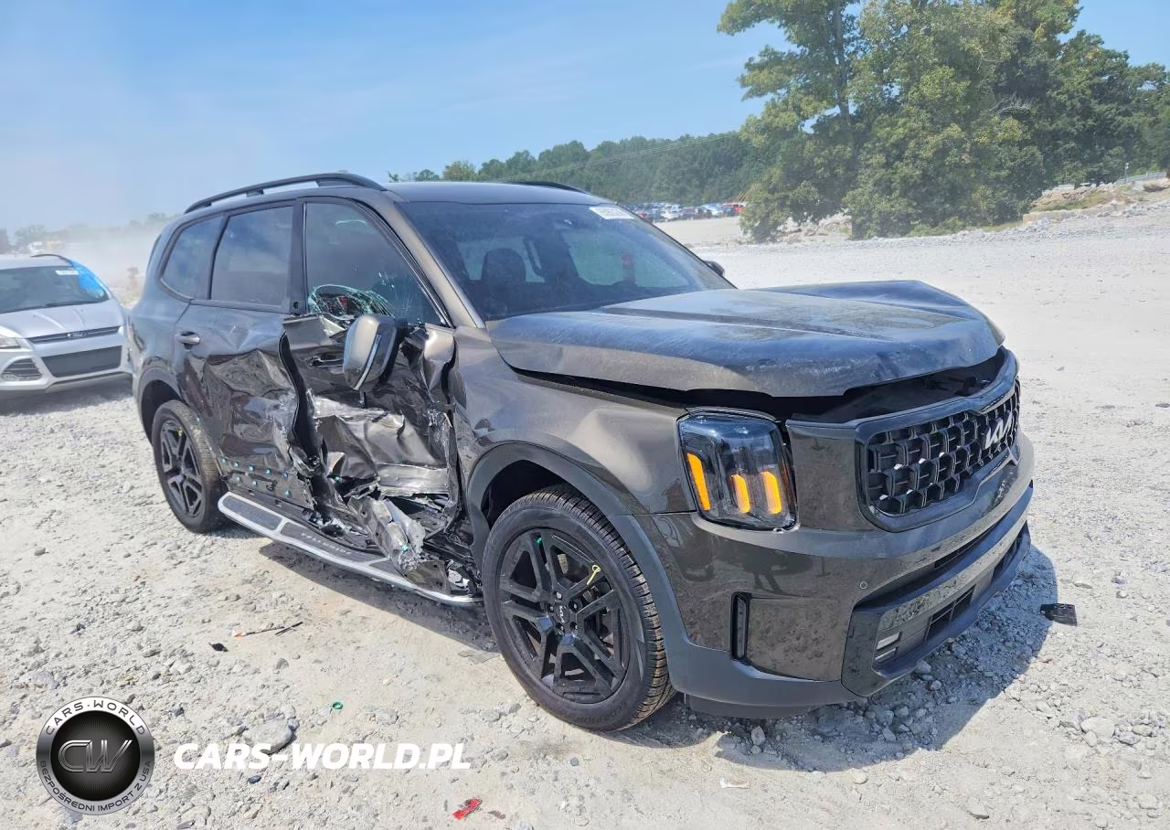 2024 Kia Telluride Sx X-Line VIN:5XYP5DGC8RG550934 - 4