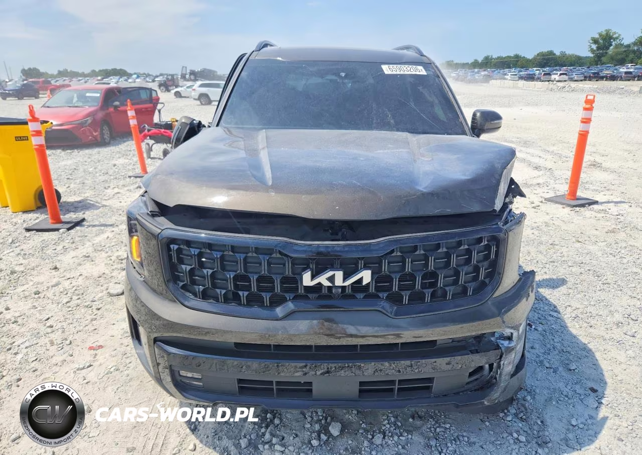 2024 Kia Telluride Sx X-Line VIN:5XYP5DGC8RG550934 - 5