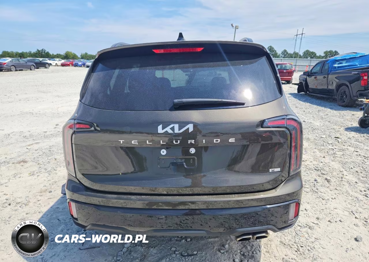 2024 Kia Telluride Sx X-Line VIN:5XYP5DGC8RG550934 - 6