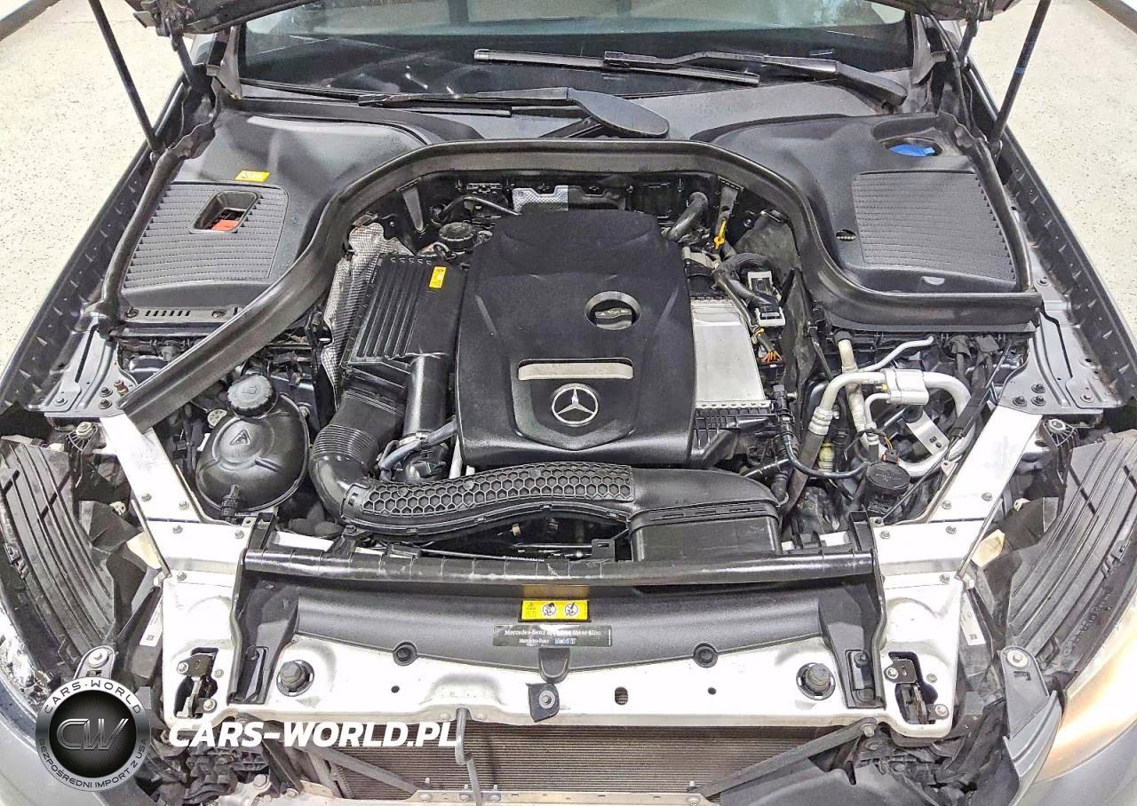 2016 Mercedes-Benz Glc 300 VIN:WDC0G4JB3GF009702 - 12