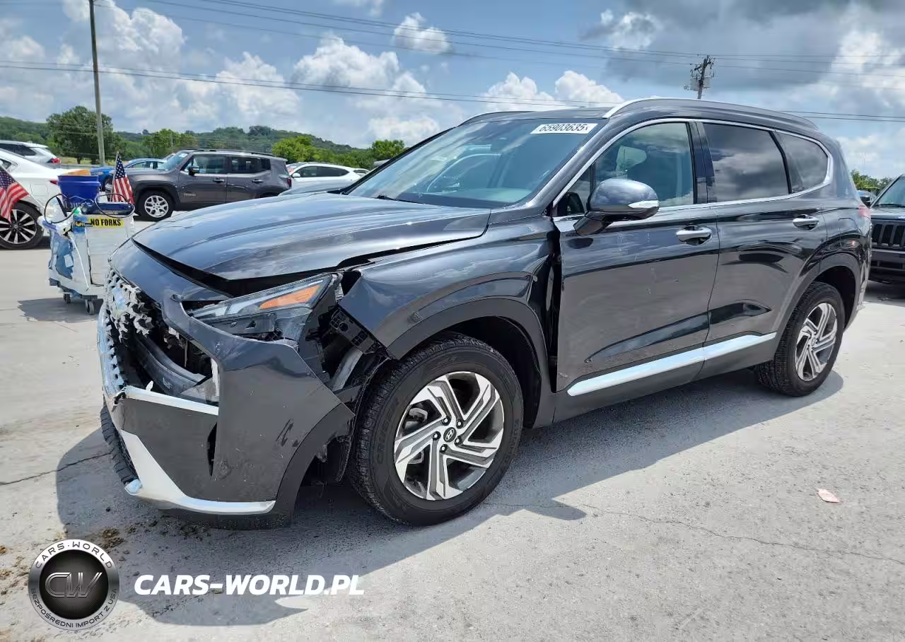 2023 Hyundai Santa Fe Sel Premium