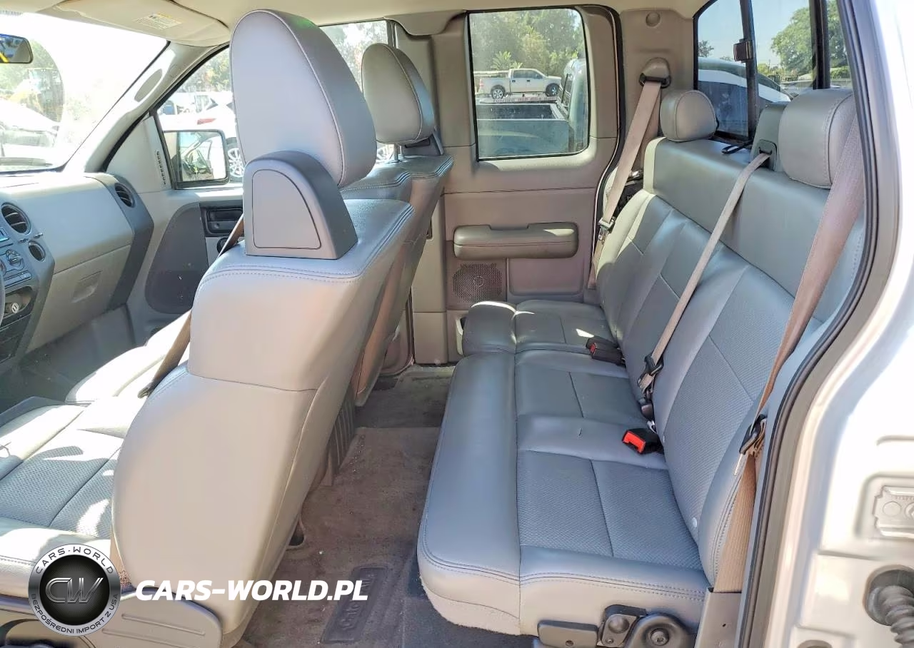 2005 Ford F150 VIN:1FTRX12W35NA37063 - 10