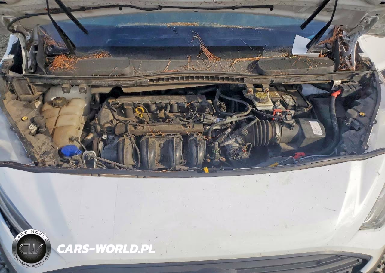 2019 Ford Transit Connect Xl VIN:NM0LS7E79K1400106 - 12