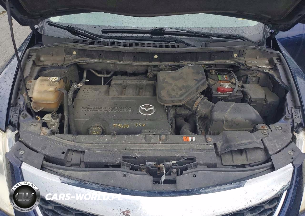 2011 Mazda Cx-9 VIN:JM3TB3CV0B0314189 - 12