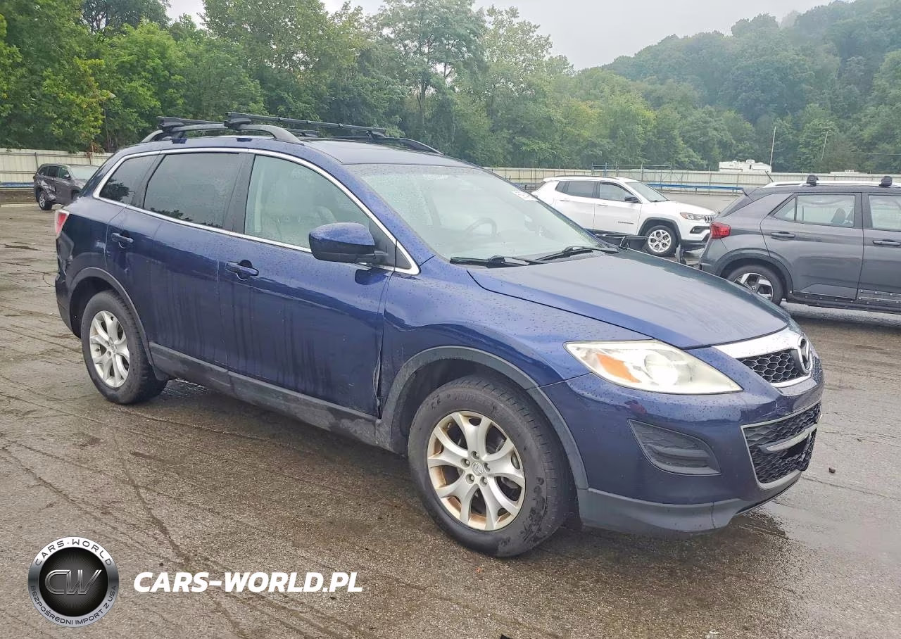 2011 Mazda Cx-9 VIN:JM3TB3CV0B0314189 - 4