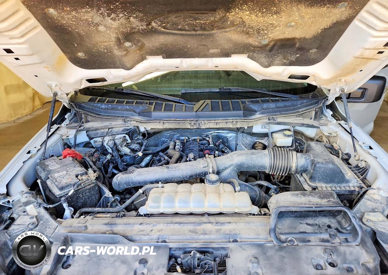 2024 Ford F150 Xlt VIN:1FTFW3L88RFA03945 - 11