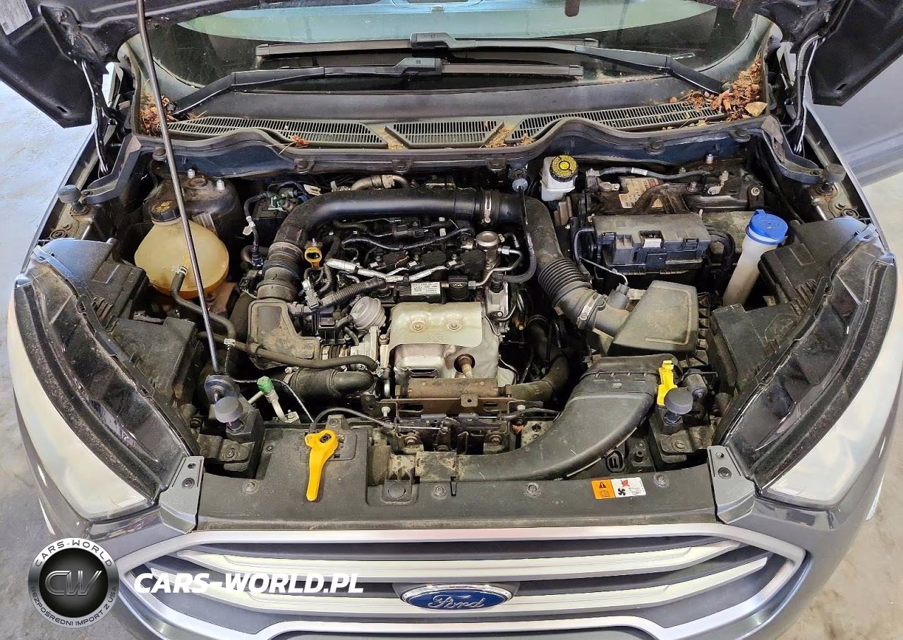 2018 Ford Ecosport Se VIN:MAJ3P1TE0JC164280 - 11