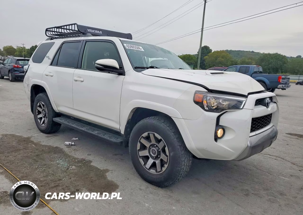2019 Toyota 4Runner Trd Off-Road Premium VIN:JTEBU5JR4K5631634 - 4