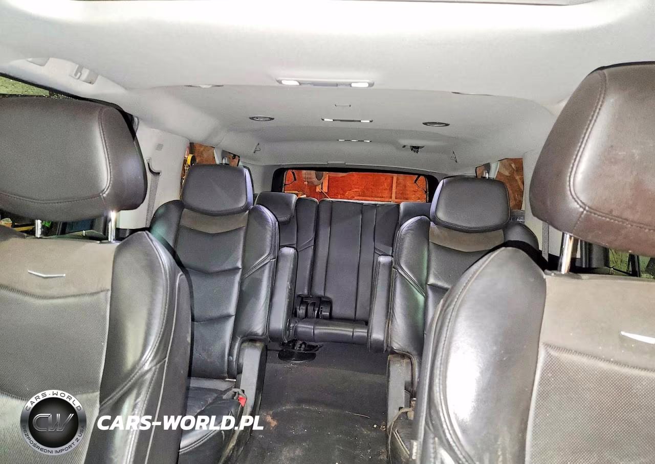 2020 Cadillac Escalade Esv Luxury VIN:1GYS4HKJ2LR163955 - 10
