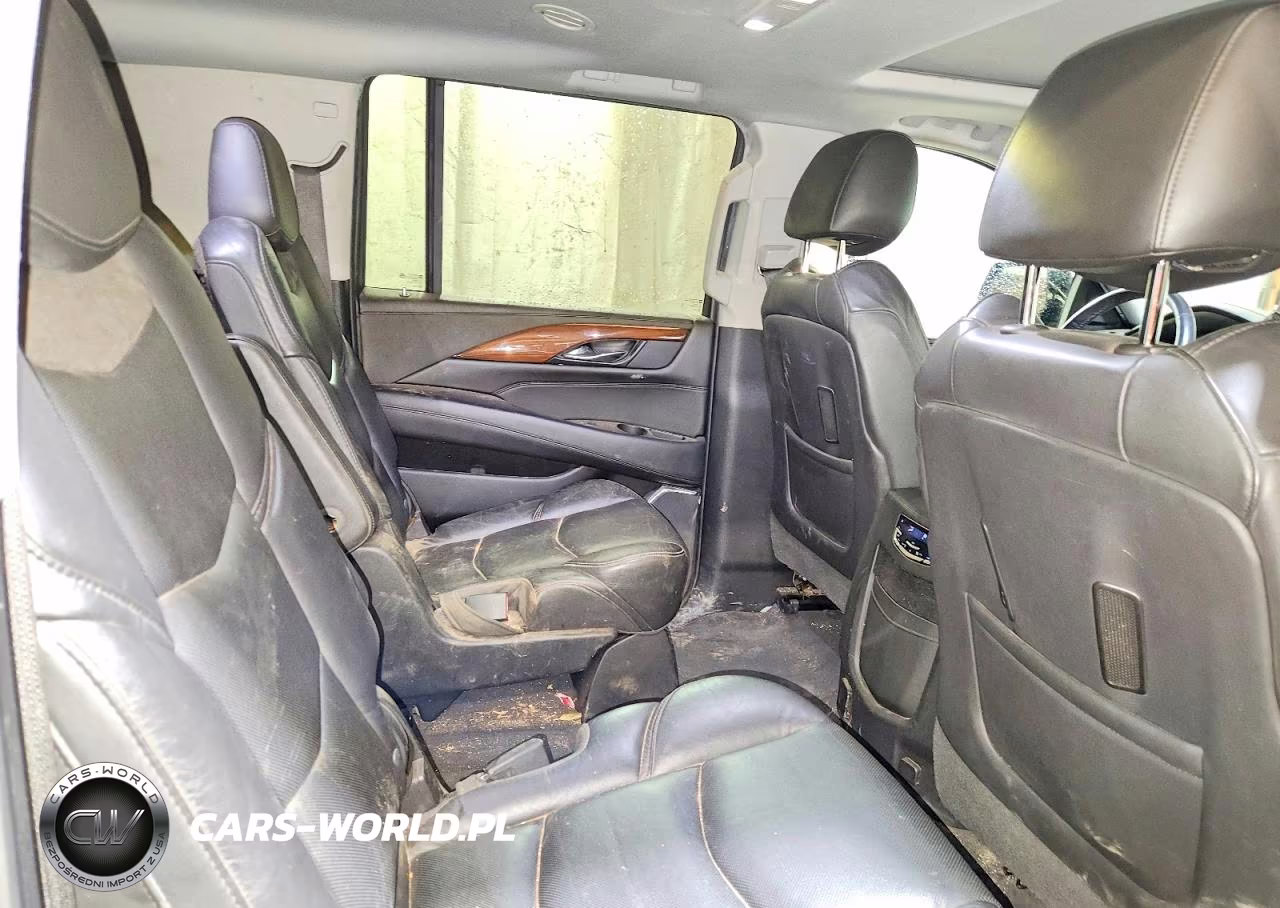 2020 Cadillac Escalade Esv Luxury VIN:1GYS4HKJ2LR163955 - 11