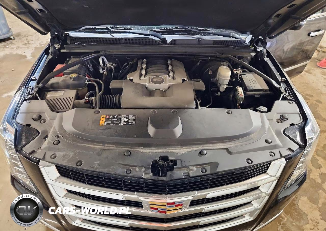 2020 Cadillac Escalade Esv Luxury VIN:1GYS4HKJ2LR163955 - 12
