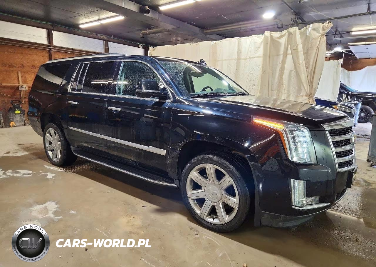 2020 Cadillac Escalade Esv Luxury VIN:1GYS4HKJ2LR163955 - 4