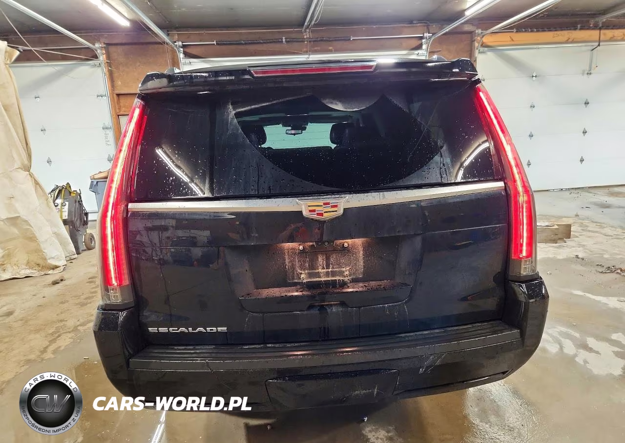 2020 Cadillac Escalade Esv Luxury VIN:1GYS4HKJ2LR163955 - 6