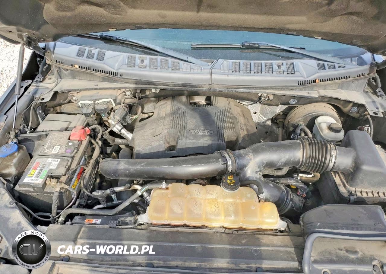 2019 Ford F150 Supercrew VIN:1FTEW1C49KKC09608 - 11