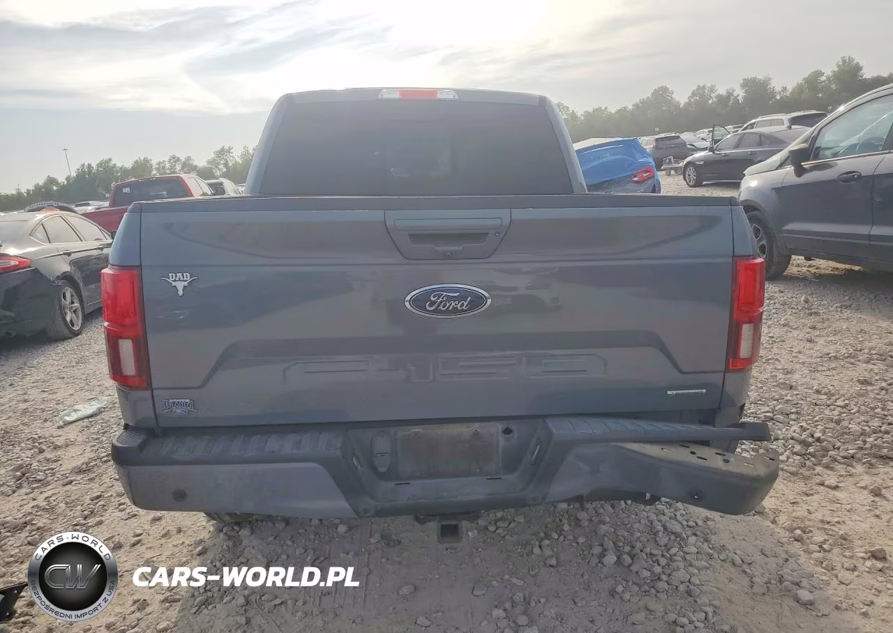 2019 Ford F150 Supercrew VIN:1FTEW1C49KKC09608 - 6