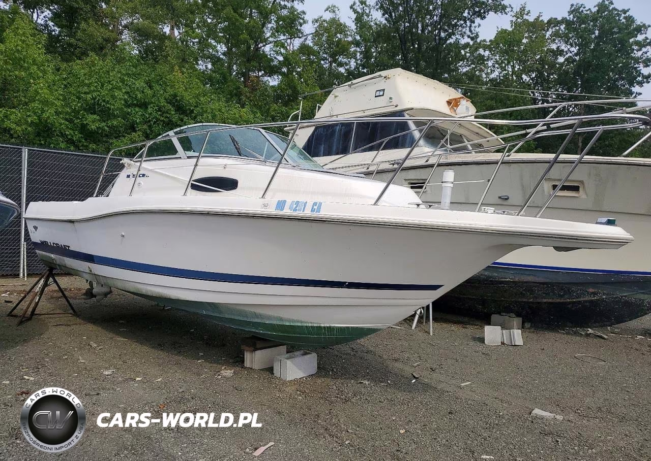 1996 Wellcraft Boat – zdjęcie 1 z 10