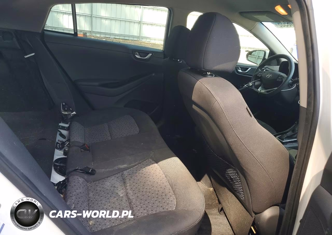 2019 Hyundai Ioniq Blue VIN:KMHC65LC5KU156346 - 10