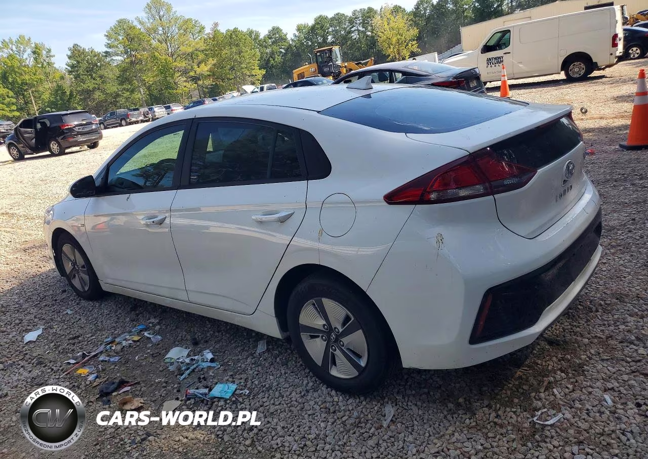 2019 Hyundai Ioniq Blue VIN:KMHC65LC5KU156346 - 2