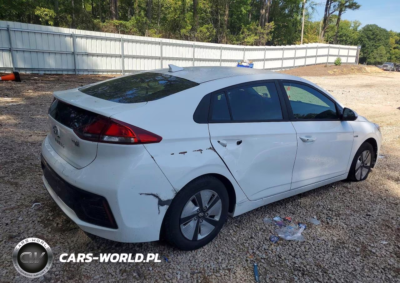 2019 Hyundai Ioniq Blue VIN:KMHC65LC5KU156346 - 3