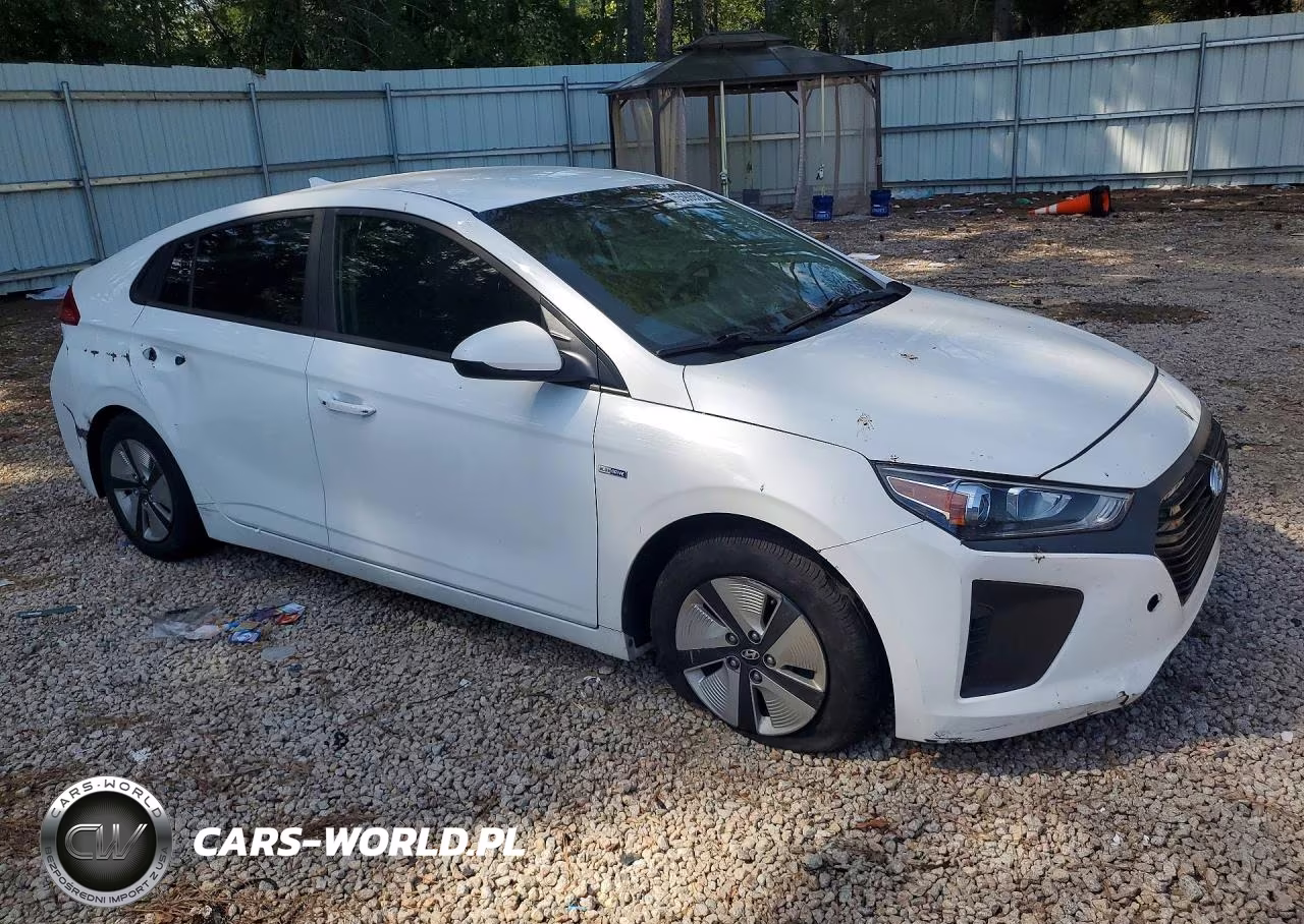 2019 Hyundai Ioniq Blue VIN:KMHC65LC5KU156346 - 4