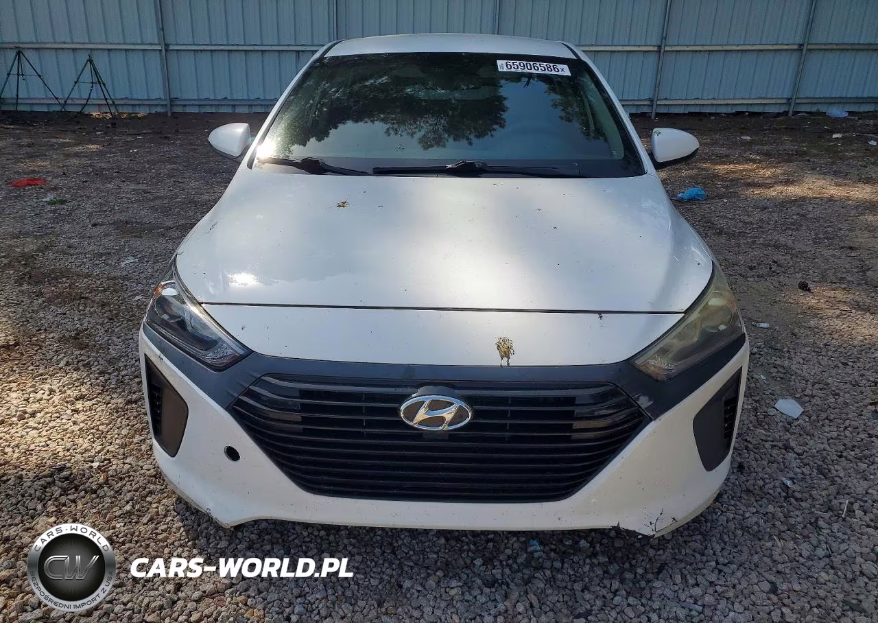 2019 Hyundai Ioniq Blue VIN:KMHC65LC5KU156346 - 5