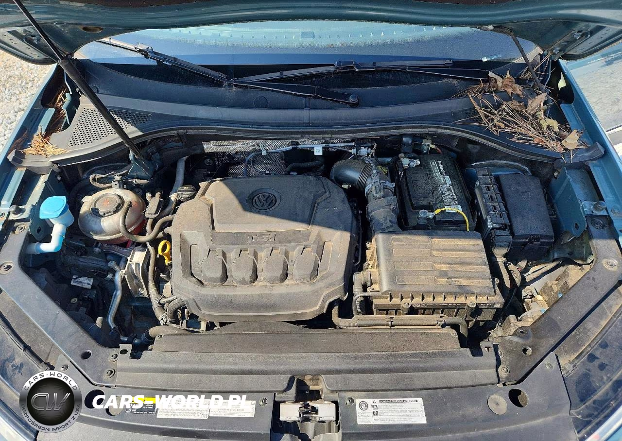 2019 Volkswagen Tiguan S VIN:3VV0B7AX1KM094227 - 12