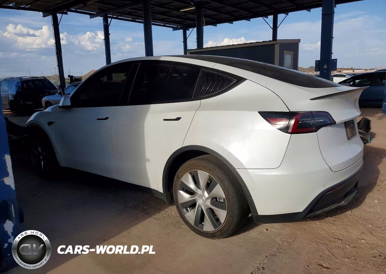 2020 Tesla Model Y VIN:5YJYGDEE0LF010317 - 2
