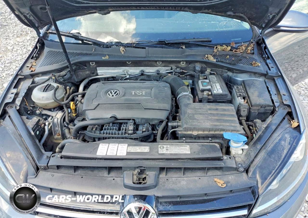 2015 Volkswagen Golf VIN:3VW217AU2FM048098 - 11