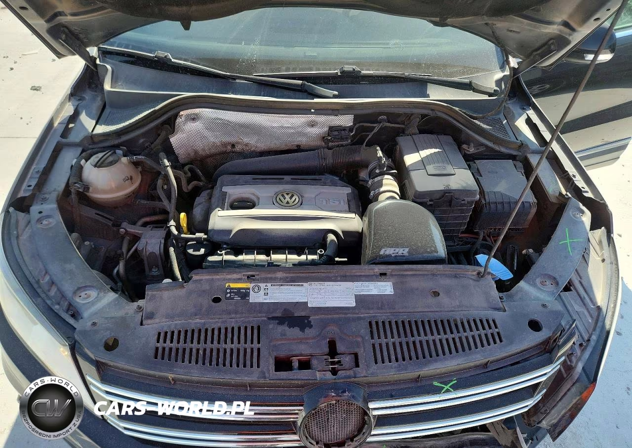 2014 Volkswagen Tiguan S VIN:WVGAV3AX7EW528024 - 12