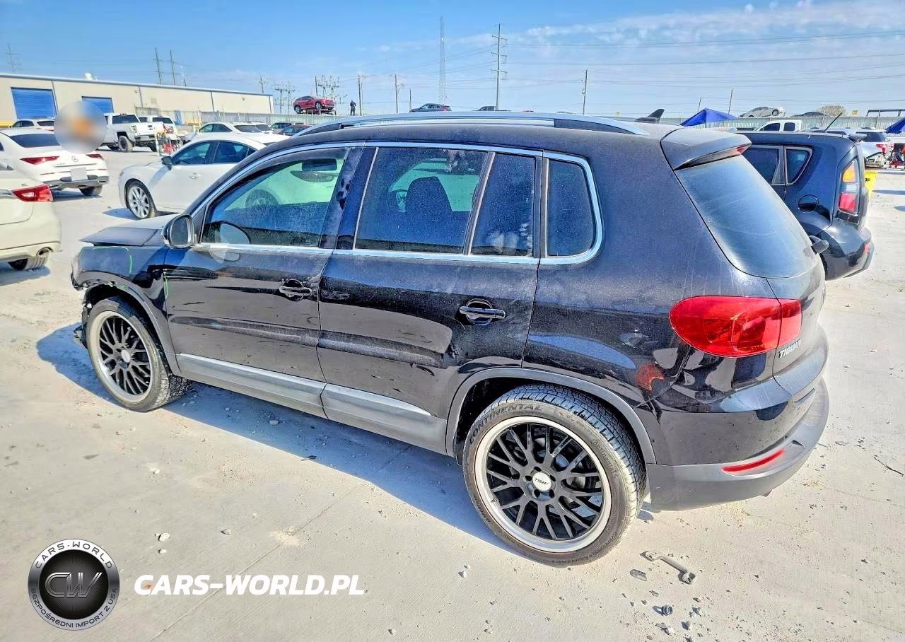 2014 Volkswagen Tiguan S VIN:WVGAV3AX7EW528024 - 2