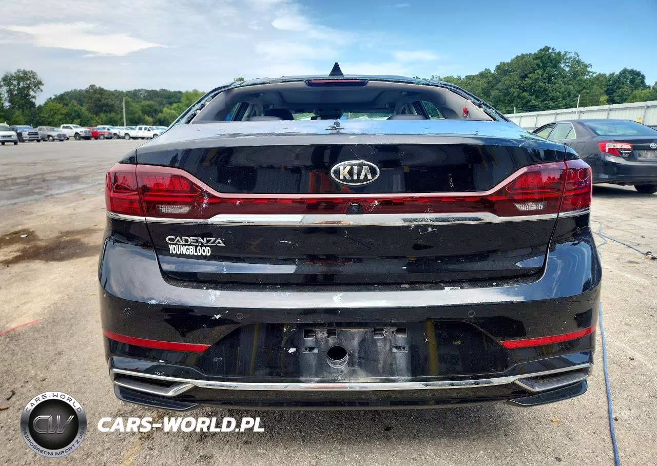 2020 Kia Cadenza Technology VIN:KNALC4J12L5230193 - 6