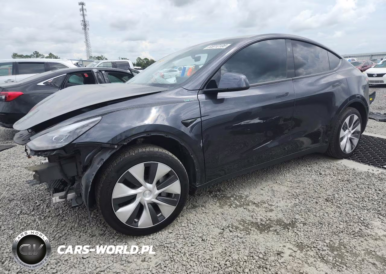 2024 Tesla Model Y VIN:7SAYGDEDXRF097324 - 1