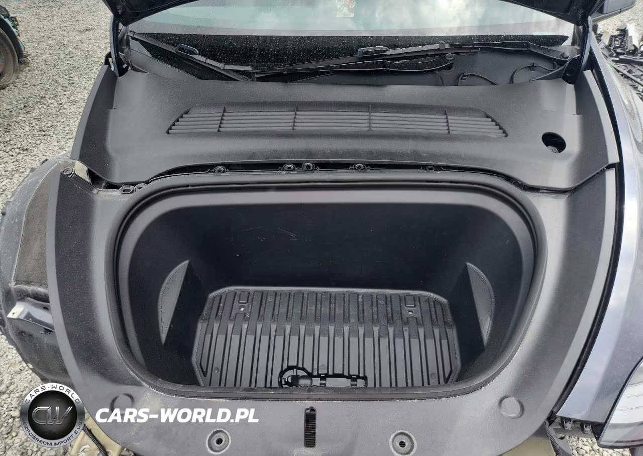 2024 Tesla Model Y VIN:7SAYGDEDXRF097324 - 11
