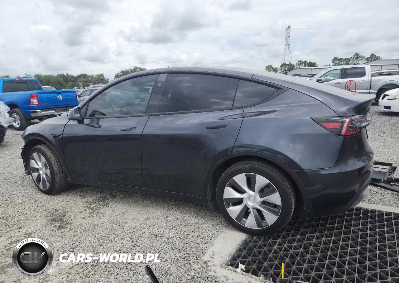 2024 Tesla Model Y VIN:7SAYGDEDXRF097324 - 2