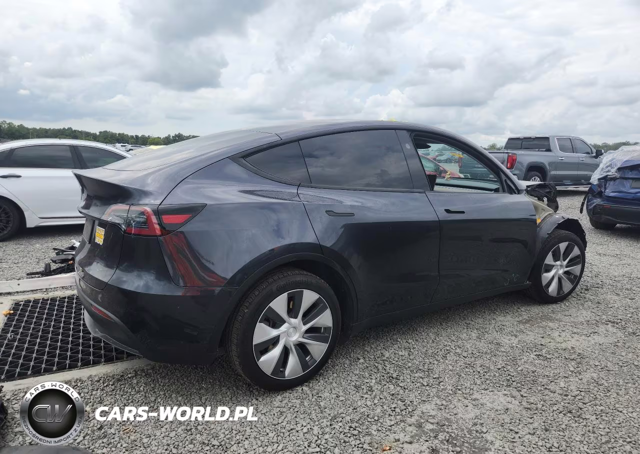 2024 Tesla Model Y VIN:7SAYGDEDXRF097324 - 3