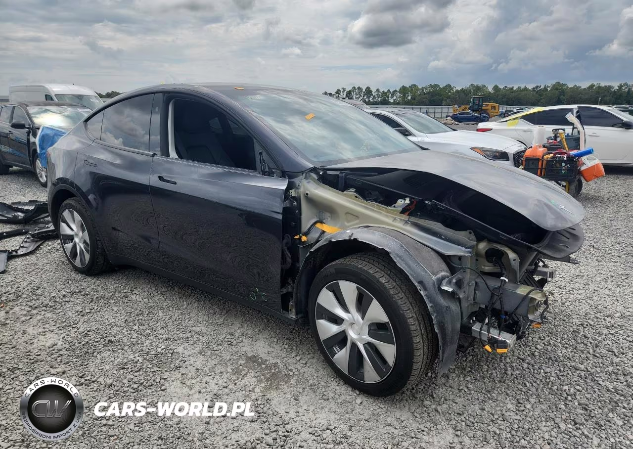 2024 Tesla Model Y VIN:7SAYGDEDXRF097324 - 4