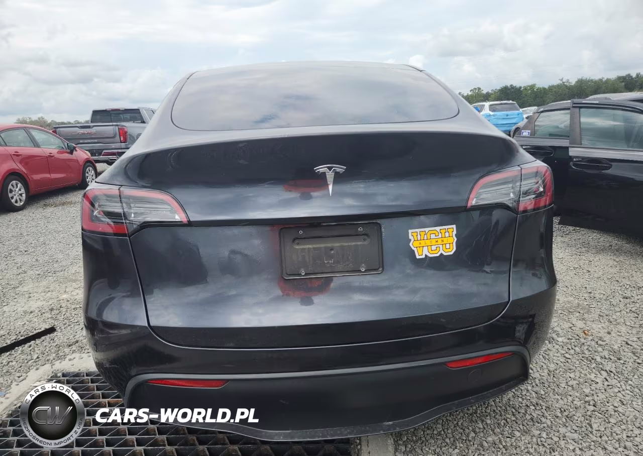 2024 Tesla Model Y VIN:7SAYGDEDXRF097324 - 6