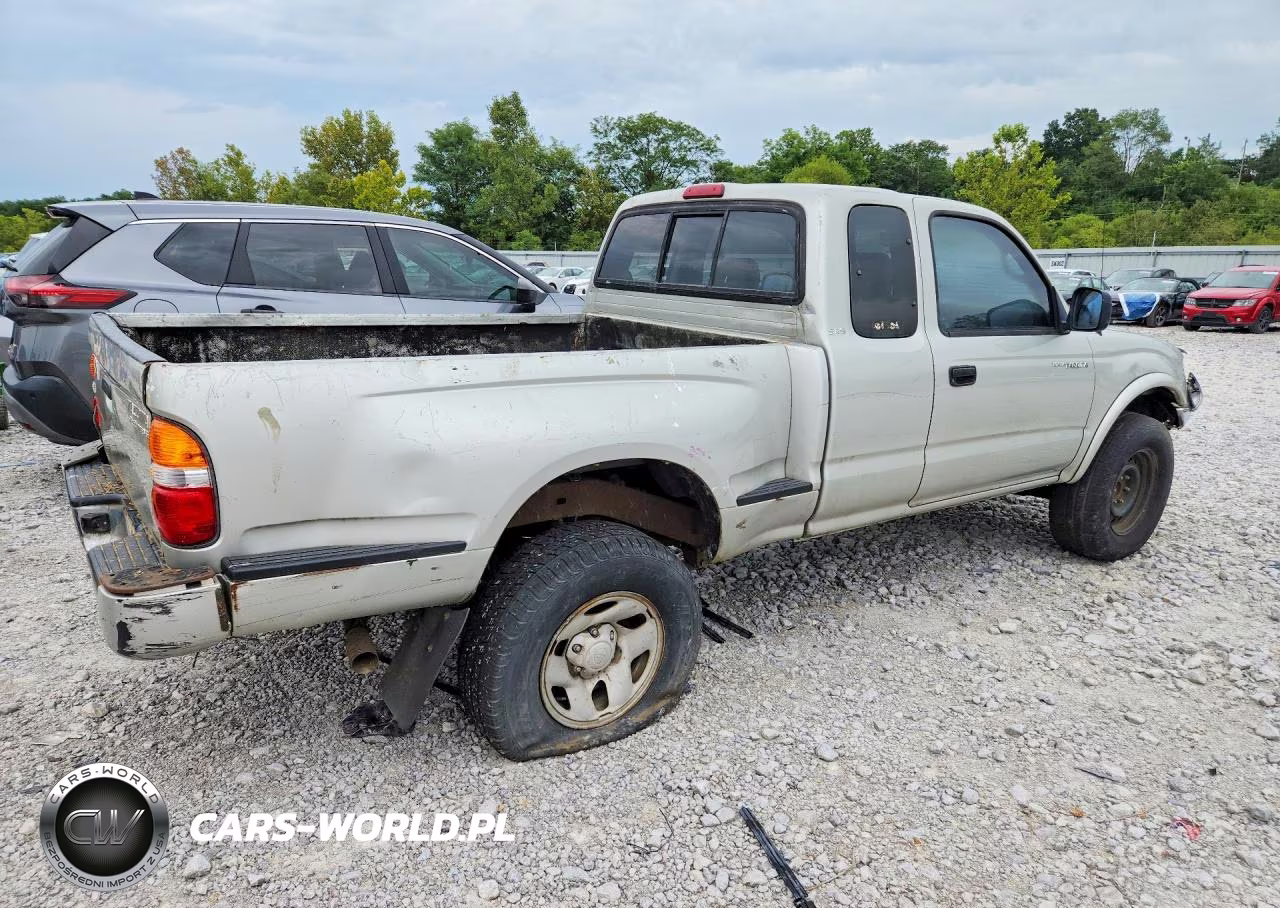 2003 Toyota Tacoma Prerunner V6 VIN:5TESN92N63Z290465 - 3