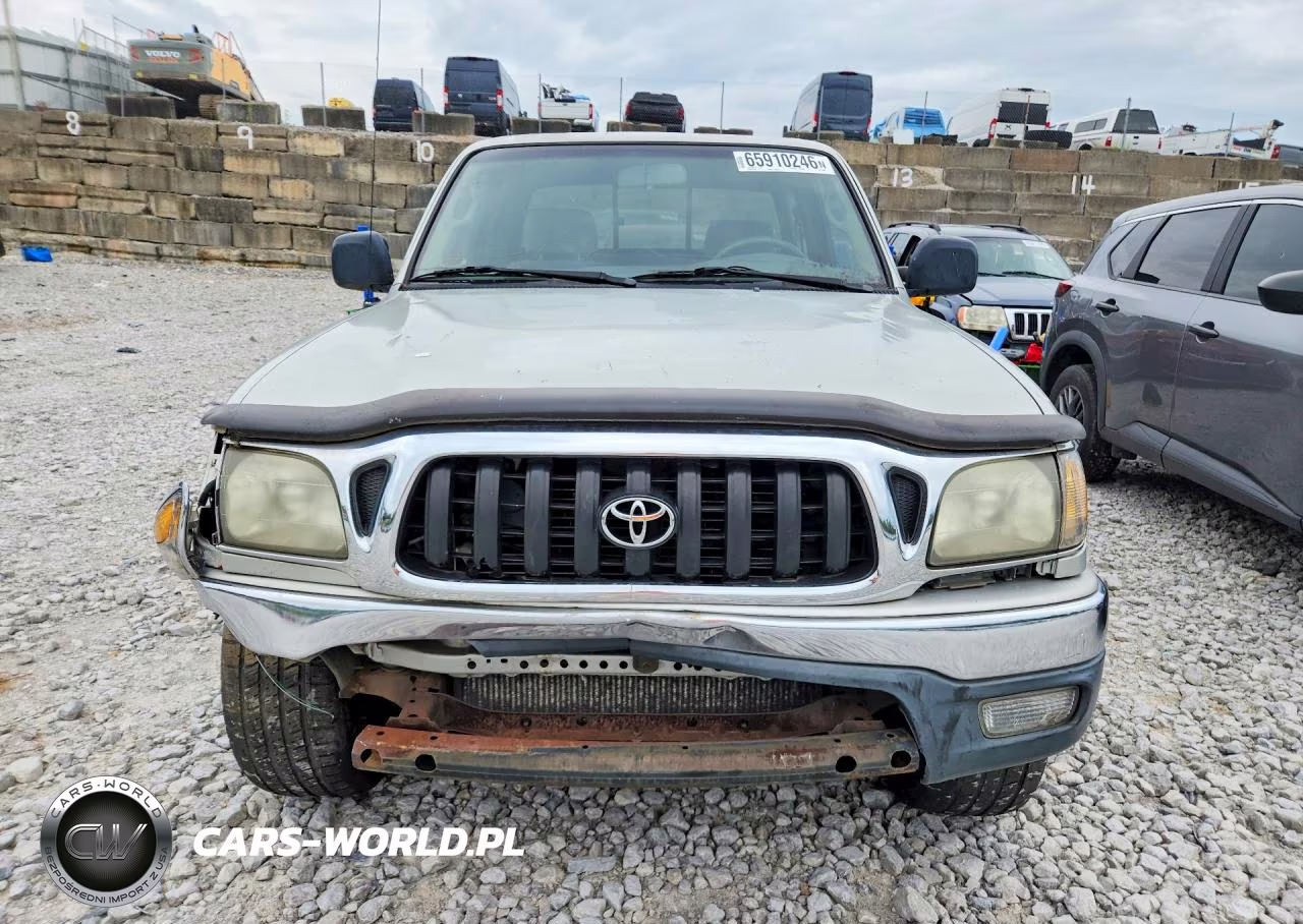2003 Toyota Tacoma Prerunner V6 VIN:5TESN92N63Z290465 - 5