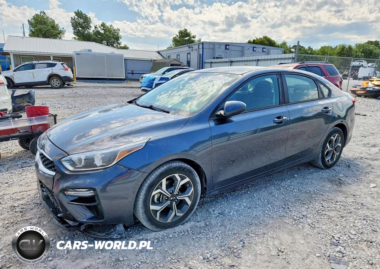 2019 Kia Forte Lxs VIN:3KPF24ADXKE131105 - 1