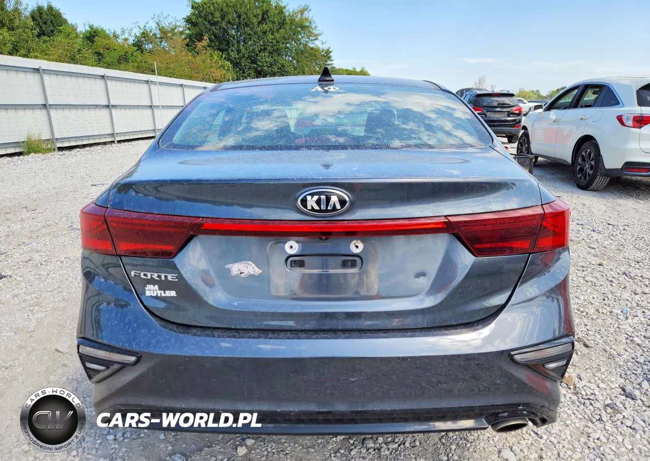 2019 Kia Forte Lxs VIN:3KPF24ADXKE131105 - 6