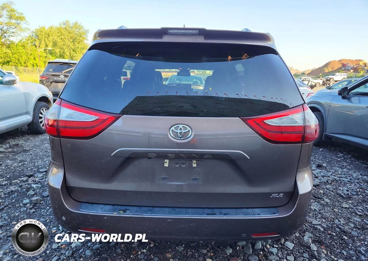 2018 Toyota Sienna Xle 8-Passenger VIN:5TDYZ3DC5JS942557 - 6