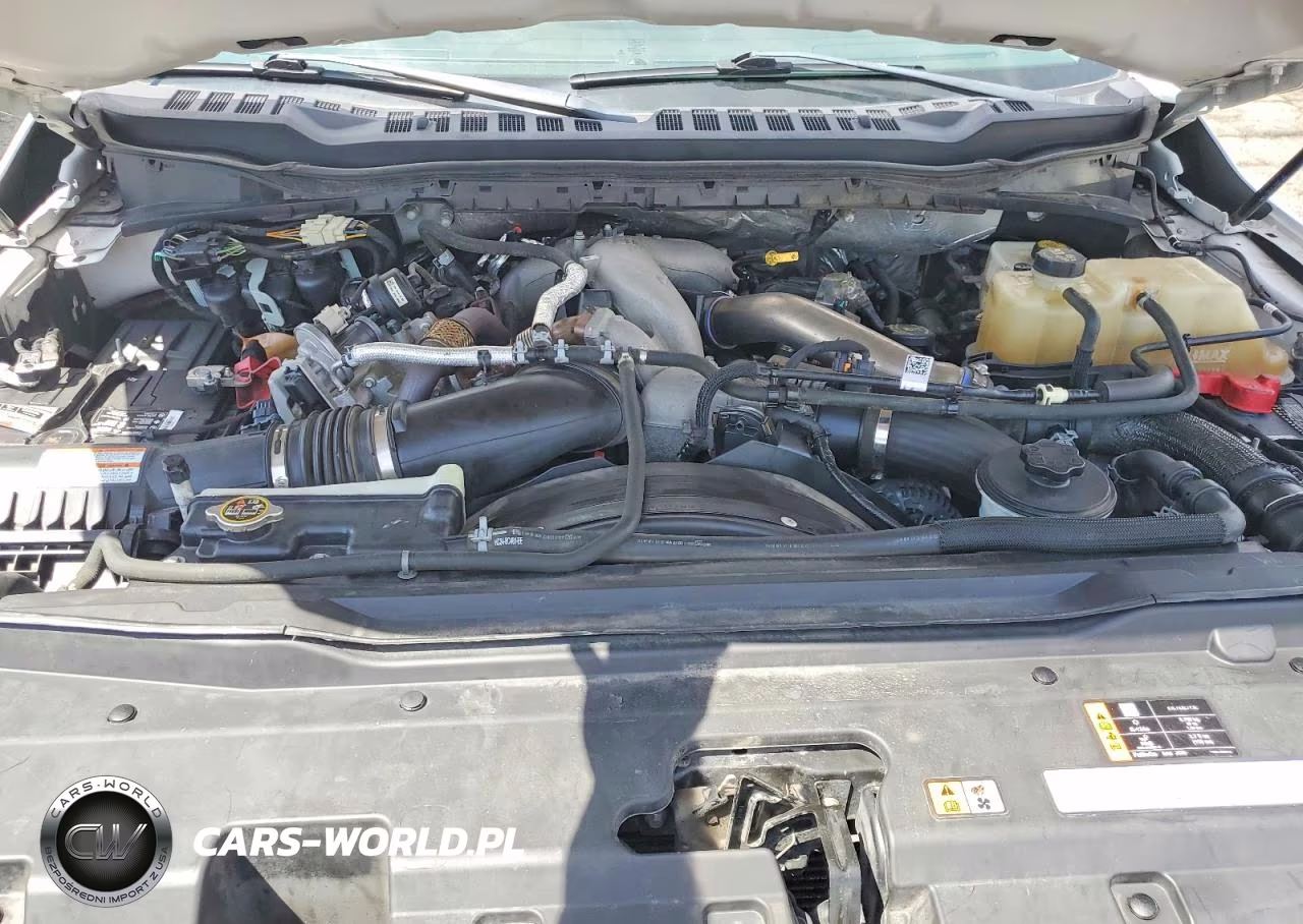 2023 Ford F350 Super Duty VIN:1FT8W3DT2PED95934 - 11