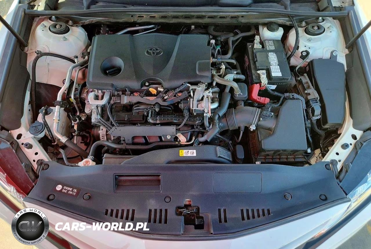 2020 Toyota Camry Se VIN:4T1G11AK6LU373795 - 11