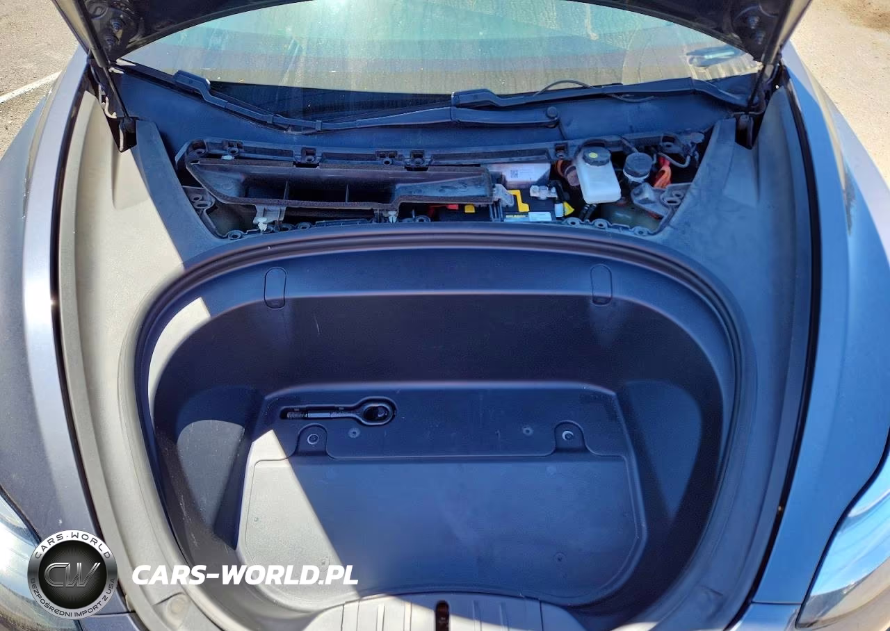 2019 Tesla Model 3 VIN:5YJ3E1EA2KF331365 - 11