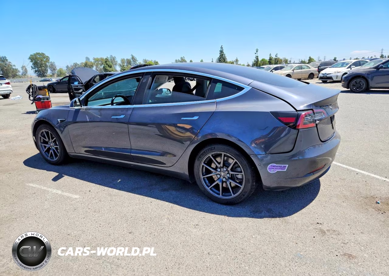 2019 Tesla Model 3 VIN:5YJ3E1EA2KF331365 - 2